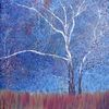 sycamore